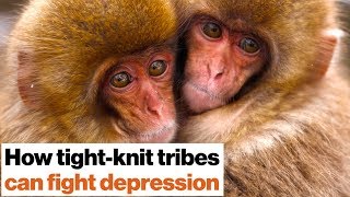 Loneliness kills: How to fight depression with social support | Johann Hari