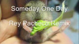 Someday One Day (Rey Pacheco Remix)