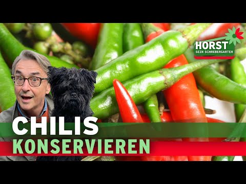 3 einfache Tipps, wie Chilischoten haltbar gemacht werden können | Horst sein Schrebergarten