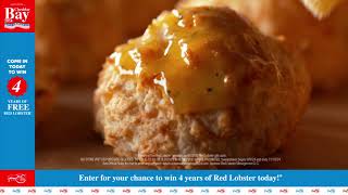  CHEDDAR BAY 2024 | 4 years of FREE* for dinner!!