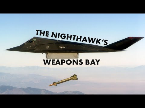 The Nighthawk's Weapons Bay #aviation