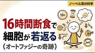 内臓脂肪を燃やす6つの科学習慣