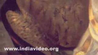 Goddess Saraswati by Raja Ravi Varma 