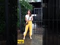 Beautiful Actress Pooja Hegde Snapped In Versova Viral Short Trending Tiktok