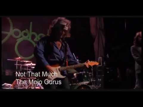 Not That Much - The Mojo Gurus