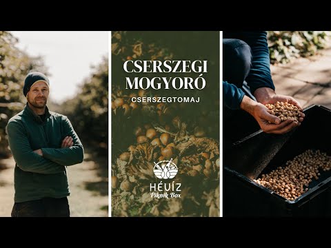 Hévíz város and Szeretünk Zala