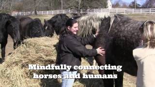 Red Sofa Series Opener