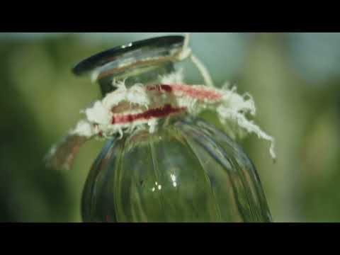 R.CAN  INVITE-MOI  CLIP OFFICIEL