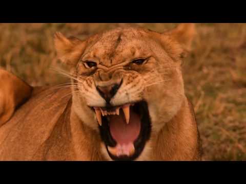 Make Time - Alex Walker's Serian