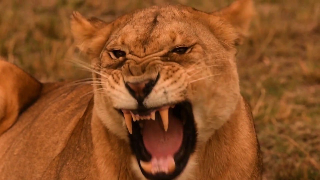 Make Time - Alex Walker's Serian