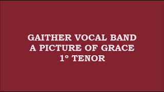Gaither Vocal Band - A Picture of Grace (Kit - 1º Tenor - Tenor)