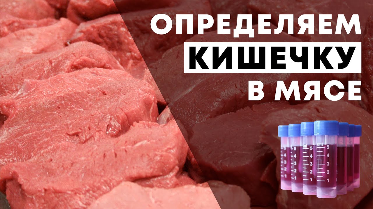 Как обнаружить кишечку в мясе?