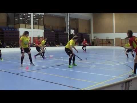 Maalikooste FBC Loisto - SBS Wirmo 20.01.2018