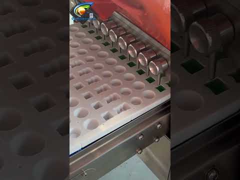 Bone Support Gummies