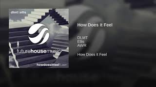 DLMT &amp; Ellis ft  AWR   How Does It Feel
