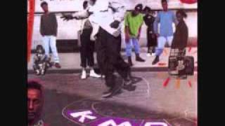 KMD (feat. Busta Rhymes and Brand Nubian) - Nitty Gritty (Remix)