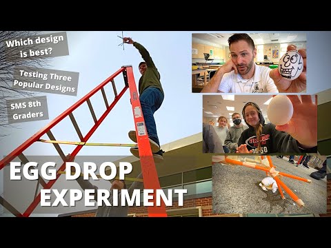 Egg Drop Experiment: Which Design is the Best?