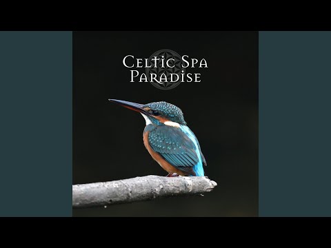 Inspiring Environment