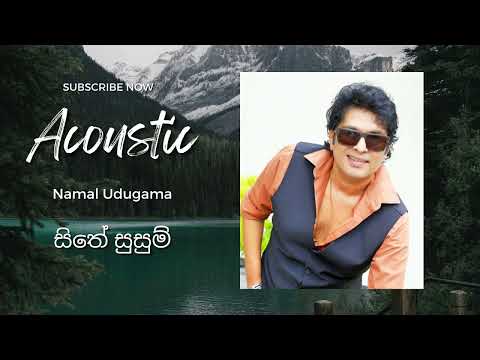 සිතේ සුසුම් | Sithe Susum | Namal Udugama | Acoustic