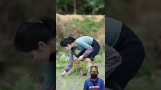 Download lagu PETANI CANTIK #shorts #china #beautifulgirl mp3