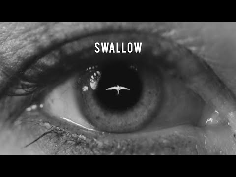 BALAKLAVA BLUES - Swallow (official video)