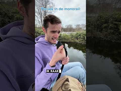 Paniek in de monorail 🚡: #kinderen #pretpark #herkenbaar #sketch #grappig #attractie