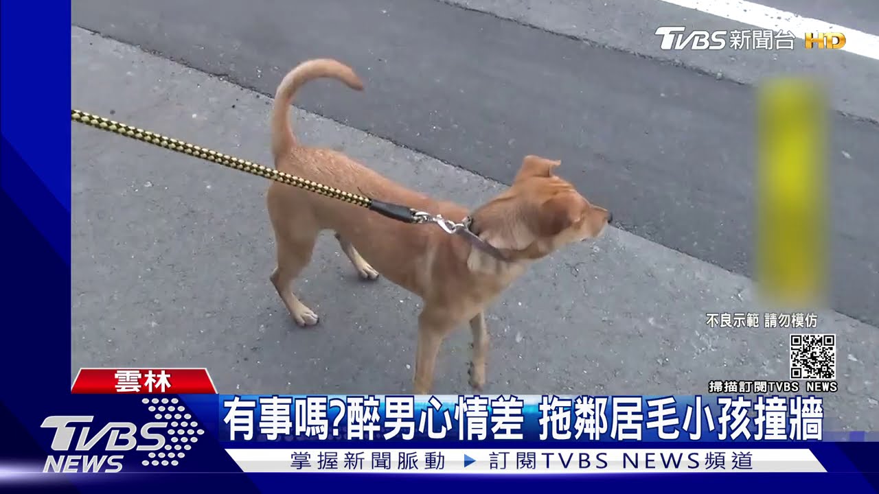 有事嗎?醉男心情差 拖鄰居毛小孩撞牆