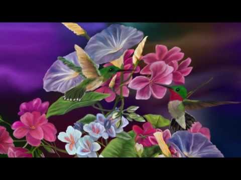 Udiyana Bandha - Voila 1