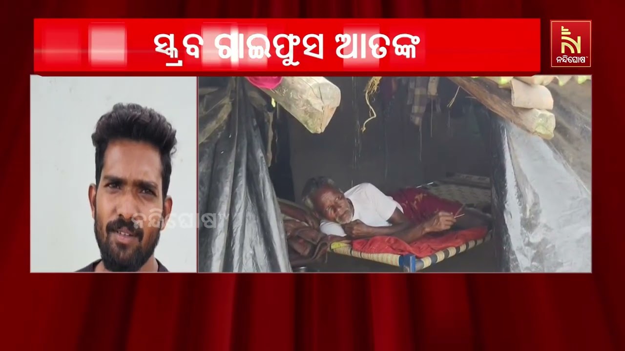 ଓଡ଼ିଶାରେ ସ୍କ୍ରବ ଟାଇଫୁସ ଆତଙ୍କ । ଅନୁଗୋଳରେ ସ୍କ୍ରବ ଟାଇଫ?