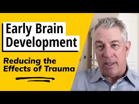Dr Bruce Perry - Early Brain Development: Reducing the Effects of Trauma