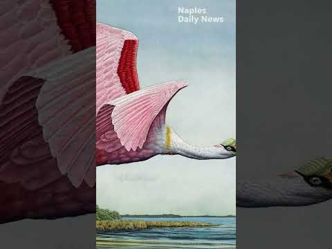 Art Fest Naples ranks among top U.S. art shows