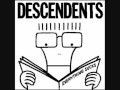 The Descendents - I'm the one 
