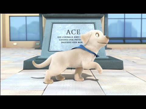 Piper Dog | Short film | Animation Studios