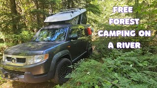 Remote River Camping in Oregon's Forests ~ Honda Element E-Camper ~ Camp & Cook