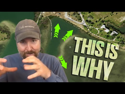 The Uncommon Redfish & Trout Pattern Few Know About