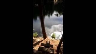 Loggers Lake Extreme Rope Swing Fail