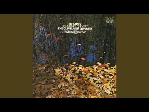 Quintet for Clarinet and String Quartet in B Minor, Op. 115: I. Allegro