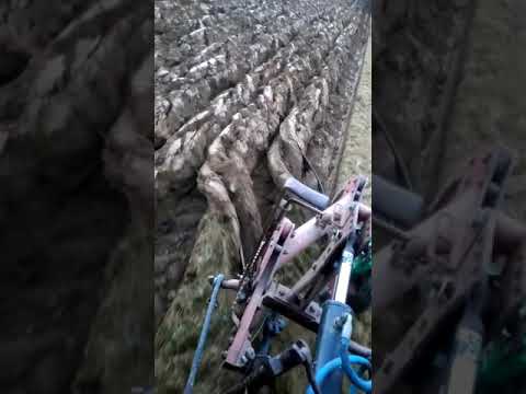 Bamford 2 Furrow Plough