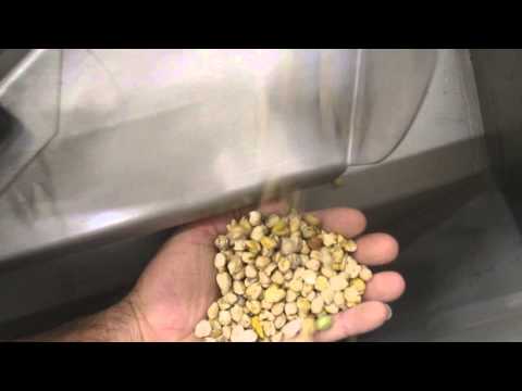 Peas Cleaning Plant
