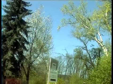 Séta a Lipóton (Closed Mental Institute in Budapest)