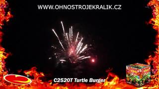 TURTLE BURGER 25 RAN