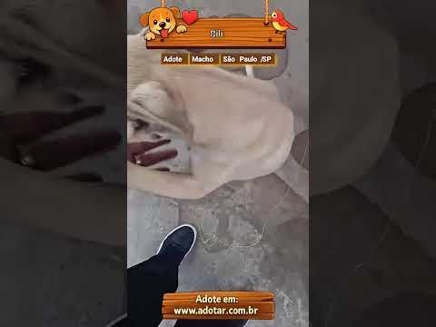Vídeo de Bili
