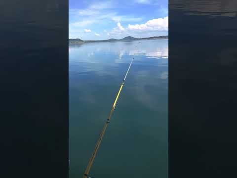 Buriti Alegre Goiás Brasil