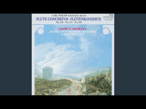 Flute Concerto in A Minor, Wq. 166, H. 431: III. Allegro assai
