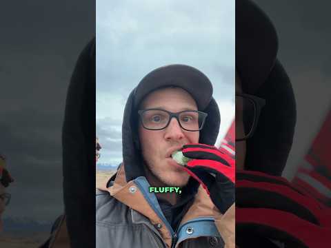 Freeze Dried Ice Cream That’s Actually Good!