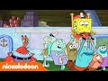 SpongeBob SquarePants | SpongeBobs plaats | Nickelodeon Nederlands