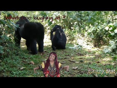 Whatchoo laughing at ? episode 4