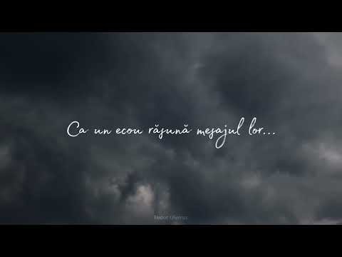 Zilele din urmă - Tudor Oleniuc | הימים האחרונים - Shilo Ben Hod (Romanian Cover)