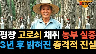 Download lagu 2006년 평창 고로쇠 채취 농부 실종. 마을 생수공장 갈등. 3년 후 밝혀진 충격적 진실 mp3