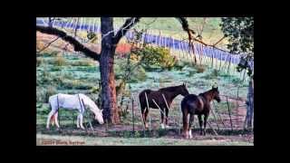 Lyle Lovett and Emmylou Harris - "Walk Through The Bottomland"